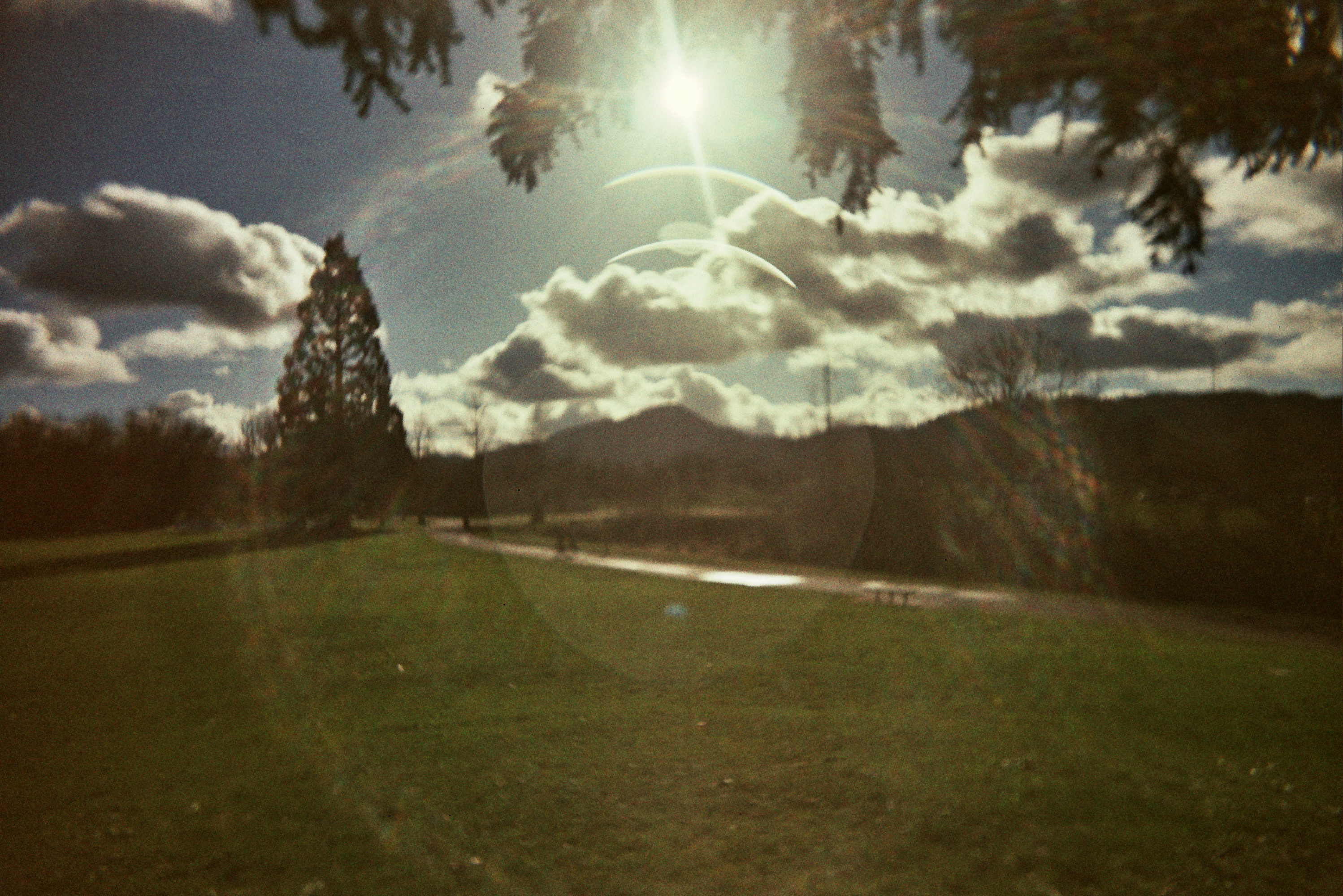 Analog photo 4