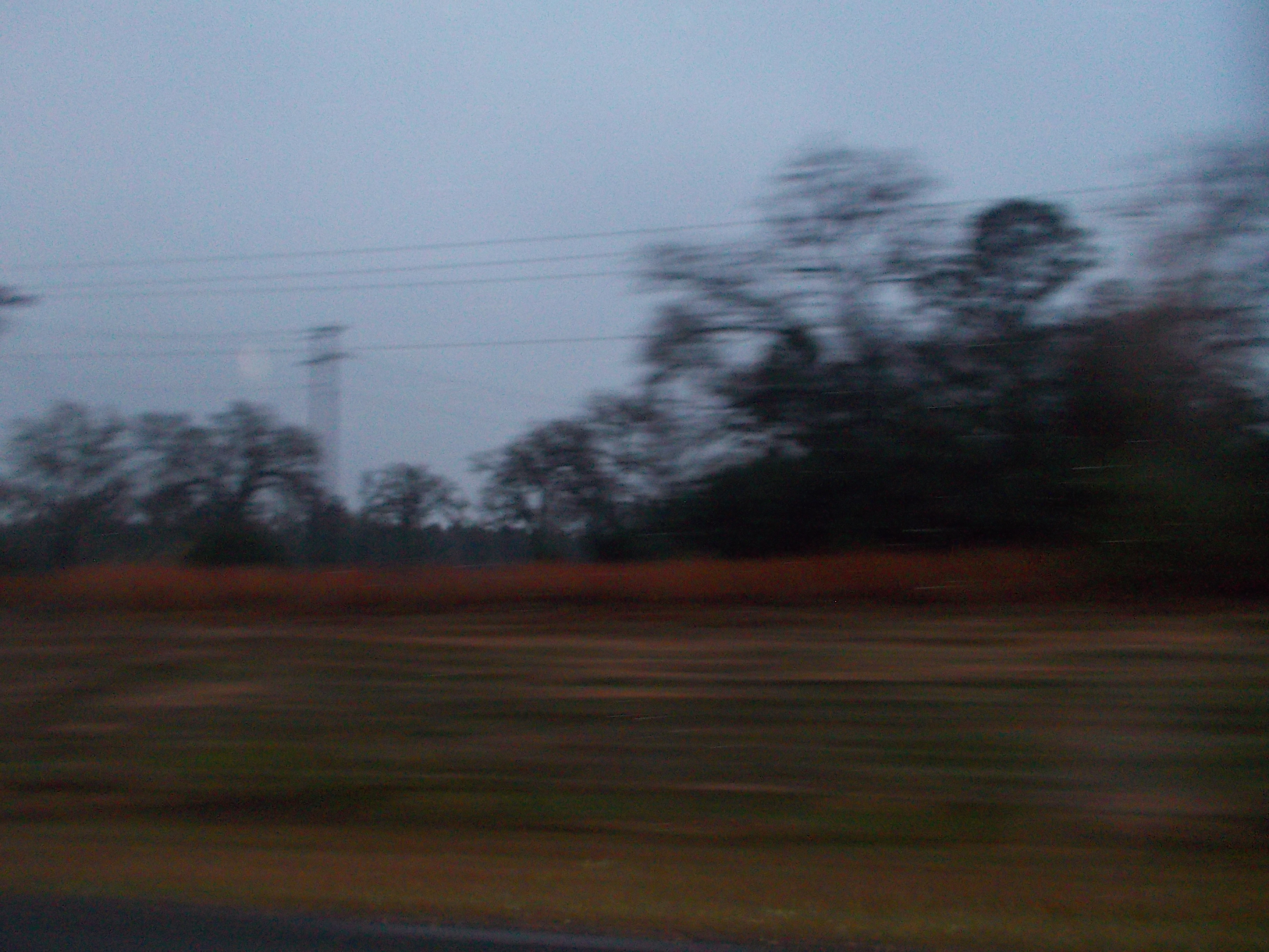 Digital photo 2